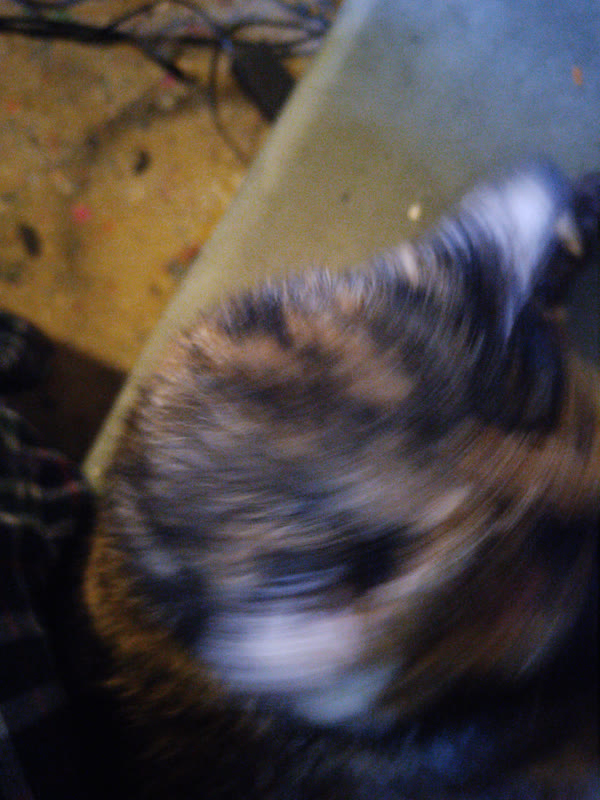 Photo by Jake DeBus, Oct 9, 2026